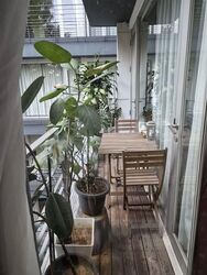 The Levelz (D10), Condominium #539681931